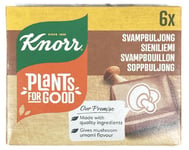 Knorr kraftur sveppa 6 stk