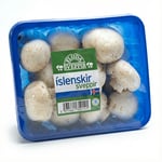 Sveppir í boxi 250gr