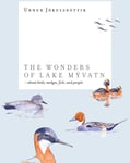 The Wonders of Lake Mývatn