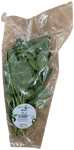 Grænt & Vænt basilíka 50 g