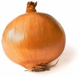 Laukur hvítur