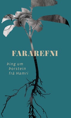 Fararefni, þing um Þorstein frá Hamri