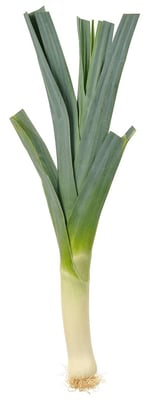 Blaðlaukur
