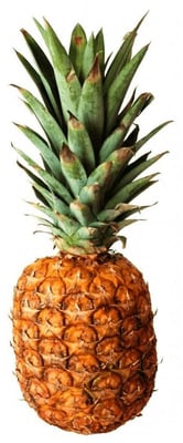 Ananas ferskur costa ríka