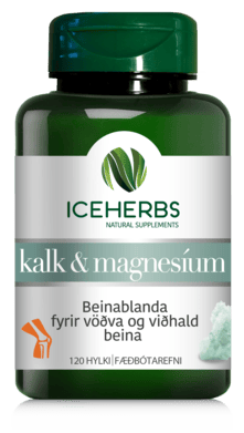 Iceherbs kalk og magnesíum 120 stk.