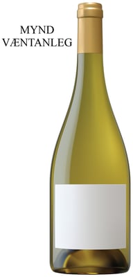 2021 Paul Pillot Chassagne-Montrachet 1er Cru Les Grandes Ruchottes