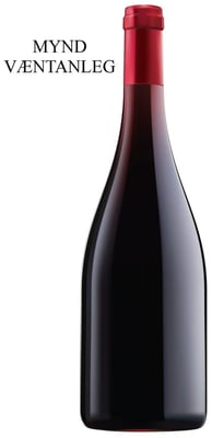 2023 Georges Noëllat Nuits-Saint-Georges 1er Cru Les Saints-Georges