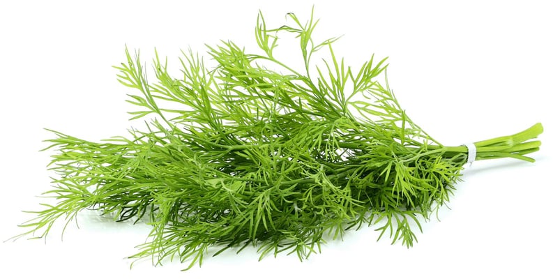 G&V Dill 50 gr