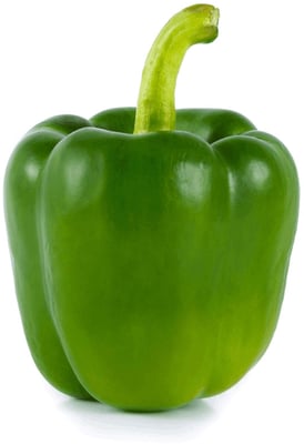 Paprika græn holland