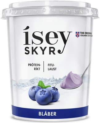 Ísey Skyr Bláber 500 g