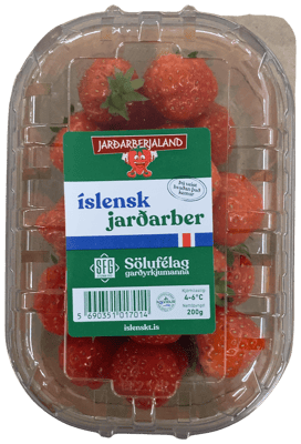 Jarðarberjaland Íslensk jarðarber 200 g