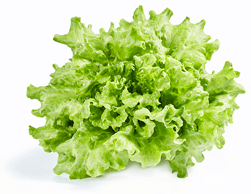 Lambahagi salat í potti 150 gr