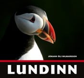 Lundinn
