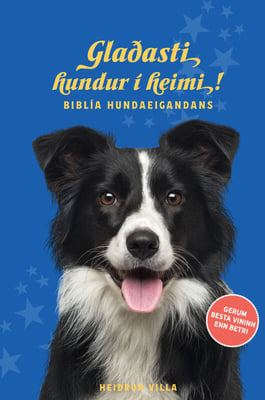 Glaðasti hundur í heimi!