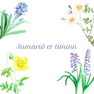Sumar servíettur með letri