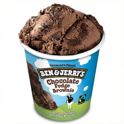 Ben&Jerry's Fudge