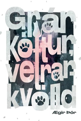 Grár köttur, vetrarkvöld e. Ægi Þór