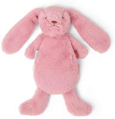 Houston Heavy Teddy mini Bunny rose