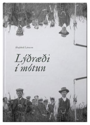 Lýðræði í mótun