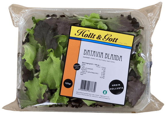 Hollt & Gott Batavia blanda 125 g