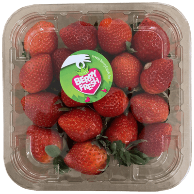 Berry Fresh Jarðarber Victory 400 g