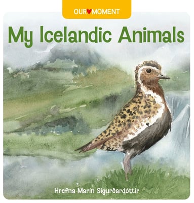 My Icelandic Animals