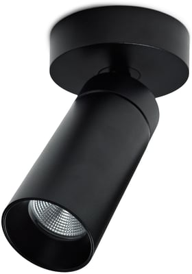 S16 Spot Fixed Mounting Black