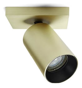 spotOn 1 Gu10 Brass