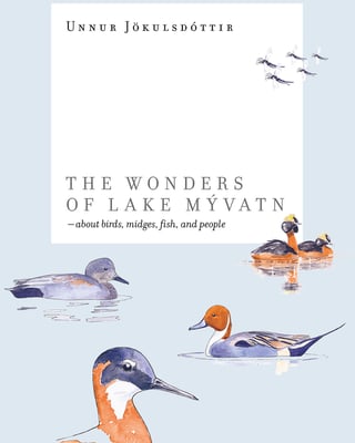 The Wonders of Lake Mývatn