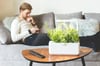 Click and Grow Smart Garden 3 HVÍTUR
