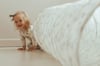 That’s mine Activity tunnel – Flowers