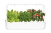 Click and Grow Smart Garden 9 Starter Kit HVÍTUR
