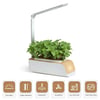 GROW YOUR OWN - SMART GARDEN