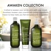 Baylis & Harding Goodness Awaken Lime, Mint & Eucalyptus bað og sturtusápa 500 ml