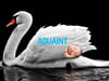 Aquaint 100% sótthreinsivatn 500ml