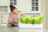 Click and Grow Smart Garden 9 Starter Kit HVÍTUR
