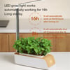 GROW YOUR OWN - SMART GARDEN