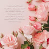 Baylis & Harding Royale Garden Rose, Poppy & Vanilla Gift Wrapped Candlelit Gjadasett