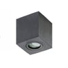Brant Black Square