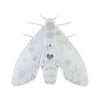 Jalo - Lento 10 white