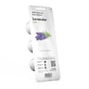 Click and Grow Smart Garden Áfylling 3-pack - Lavender (Lofnarblóm)
