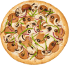 Wonderful vegan