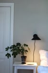 Cannes 20 veggljós