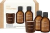 Baylis & Harding Wellness Herra Energize Gjafasett Ginger & Lime  Sturtusápu 100 ml, Body Lotion 10 ml og Ginger, Lime & Basil ilmkerti