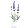 Lavender Ilmkjarnaolía Relaxation Centre Collection 10 ml