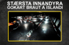 Go-Kart á stærstu innandyra gokartbraut landsins