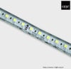 7860/W LED borði 230V Cool White