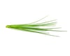 Click and Grow Smart Garden Áfylling 3-pack Graslaukur - (Chives)