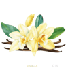 Vanillu Ilmkjarnaolía Relaxation Centre Collection 10 ml