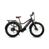 Rawbike Urban 250W rafmagnshjól